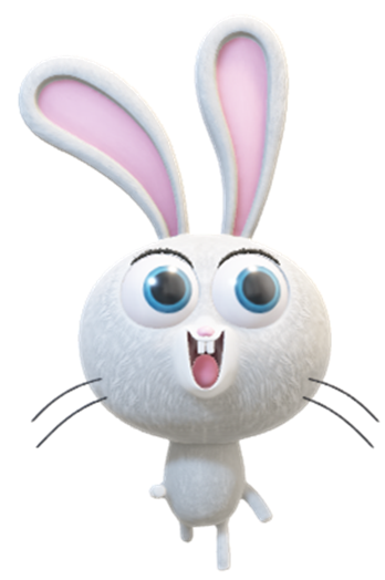 Bunny