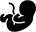 ikona