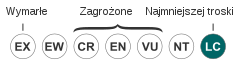 Status iucn3.1 LC pl.svg